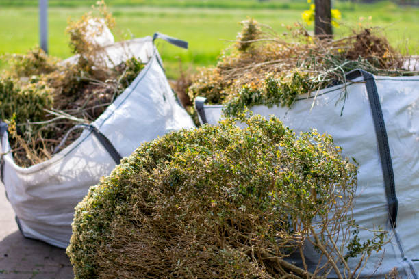 Best Commercial Cleanout Services  in Franklin, PA
